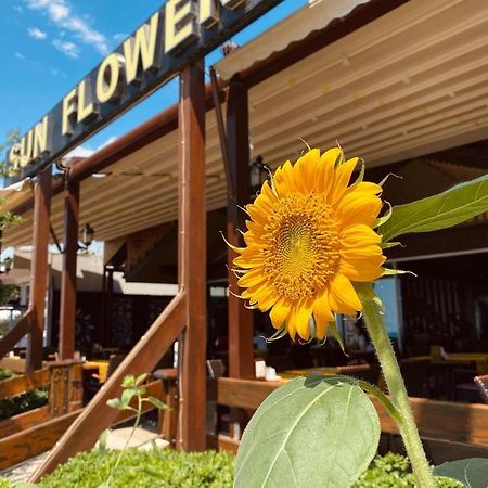 Sun Flower Apart Hotel Сиде Экстерьер фото