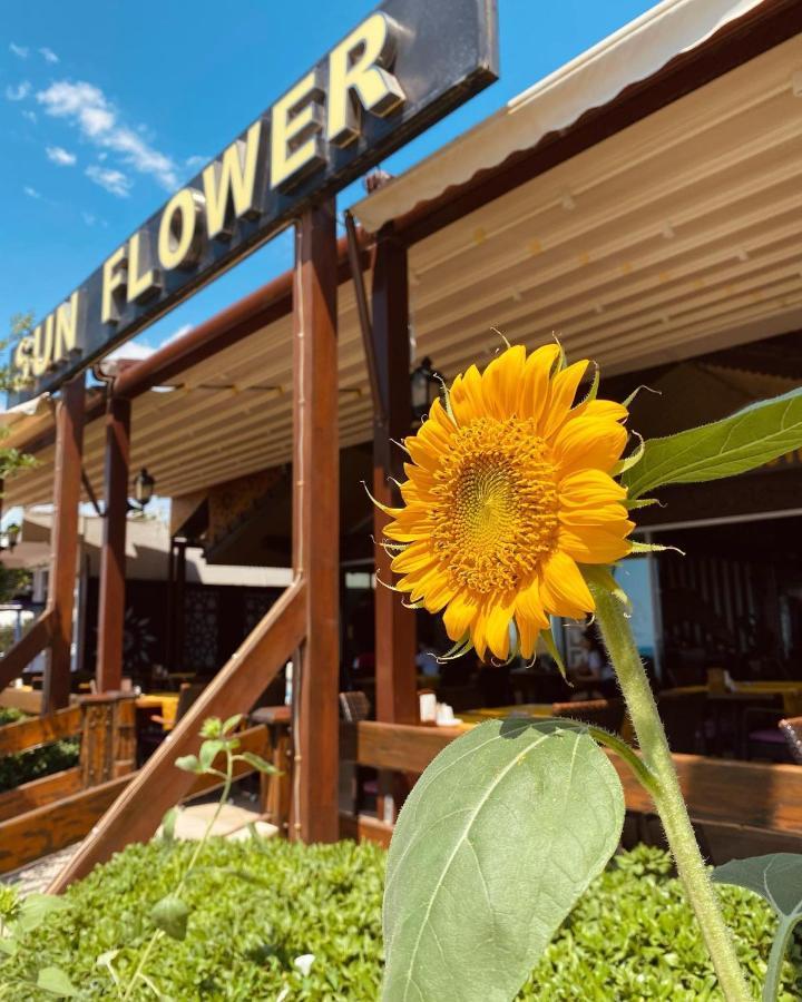 Sun Flower Apart Hotel Сиде Экстерьер фото